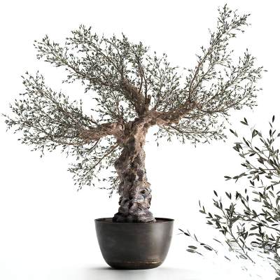 现代盆栽-01
